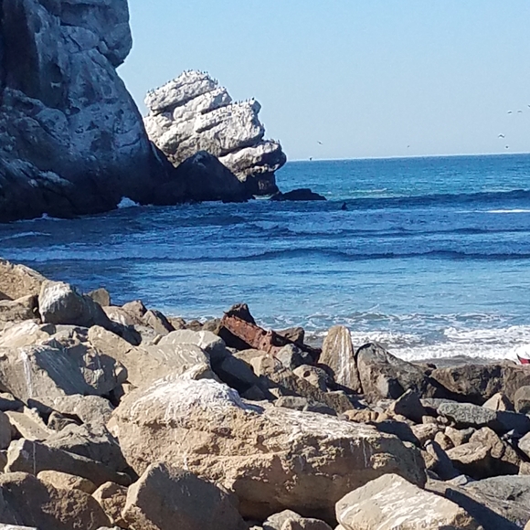 •Red Rooster's Boutique• - Picture 4 of 11